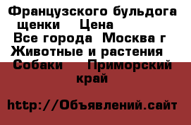 Французского бульдога щенки  › Цена ­ 35 000 - Все города, Москва г. Животные и растения » Собаки   . Приморский край